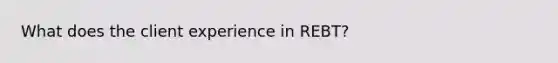 What does the client experience in REBT?