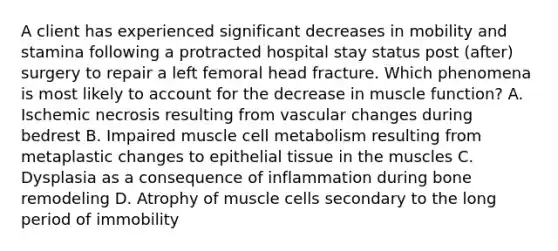 A client has experienced significant decreases in mobility and stamina following a protracted hospital stay status post (after) surgery to repair a left femoral head fracture. Which phenomena is most likely to account for the decrease in muscle function? A. Ischemic necrosis resulting from vascular changes during bedrest B. Impaired muscle cell metabolism resulting from metaplastic changes to epithelial tissue in the muscles C. Dysplasia as a consequence of inflammation during bone remodeling D. Atrophy of muscle cells secondary to the long period of immobility