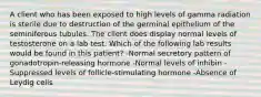 A client who has been exposed to high levels of gamma radiation is sterile due to destruction of the germinal epithelium of the seminiferous tubules. The client does display normal levels of testosterone on a lab test. Which of the following lab results would be found in this patient? -Normal secretory pattern of gonadotropin-releasing hormone -Normal levels of inhibin -Suppressed levels of follicle-stimulating hormone -Absence of Leydig cells