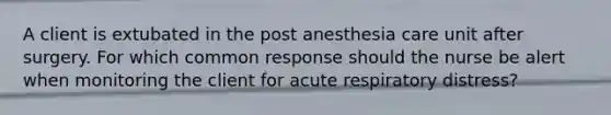 A client is extubated in the post anesthesia care unit after surgery. For which common response should the nurse be alert when monitoring the client for acute respiratory distress?