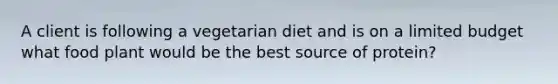 A client is following a vegetarian diet and is on a limited budget what food plant would be the best source of protein?