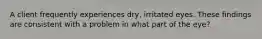 A client frequently experiences dry, irritated eyes. These findings are consistent with a problem in what part of the eye?