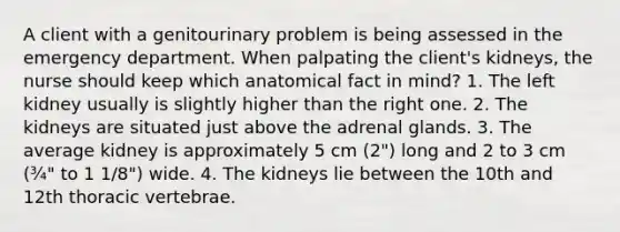 A client with a genitourinary problem is being assessed in the emergency department. When palpating the client's kidneys, the nurse should keep which anatomical fact in mind? 1. The left kidney usually is slightly higher than the right one. 2. The kidneys are situated just above the adrenal glands. 3. The average kidney is approximately 5 cm (2") long and 2 to 3 cm (¾" to 1 1/8") wide. 4. The kidneys lie between the 10th and 12th thoracic vertebrae.