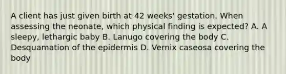 A client has just given birth at 42 weeks' gestation. When assessing the neonate, which physical finding is expected? A. A sleepy, lethargic baby B. Lanugo covering the body C. Desquamation of the epidermis D. Vernix caseosa covering the body