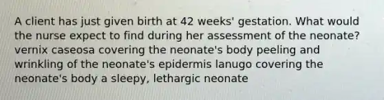 A client has just given birth at 42 weeks' gestation. What would the nurse expect to find during her assessment of the neonate? vernix caseosa covering the neonate's body peeling and wrinkling of the neonate's epidermis lanugo covering the neonate's body a sleepy, lethargic neonate