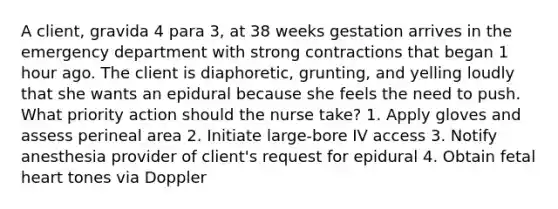 A client, gravida 4 para 3, at 38 weeks gestation arrives in the emergency department with strong contractions that began 1 hour ago. The client is diaphoretic, grunting, and yelling loudly that she wants an epidural because she feels the need to push. What priority action should the nurse take? 1. Apply gloves and assess perineal area 2. Initiate large-bore IV access 3. Notify anesthesia provider of client's request for epidural 4. Obtain fetal heart tones via Doppler