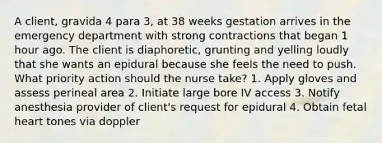 A client, gravida 4 para 3, at 38 weeks gestation arrives in the emergency department with strong contractions that began 1 hour ago. The client is diaphoretic, grunting and yelling loudly that she wants an epidural because she feels the need to push. What priority action should the nurse take? 1. Apply gloves and assess perineal area 2. Initiate large bore IV access 3. Notify anesthesia provider of client's request for epidural 4. Obtain fetal heart tones via doppler