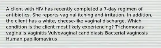 A client with HIV has recently completed a 7-day regimen of antibiotics. She reports vaginal itching and irritation. In addition, the client has a white, cheese-like vaginal discharge. Which condition is the client most likely experiencing? Trichomonas vaginalis vaginitis Vulvovaginal candidiasis Bacterial vaginosis Human papillomavirus