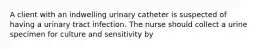 A client with an indwelling urinary catheter is suspected of having a urinary tract infection. The nurse should collect a urine specimen for culture and sensitivity by