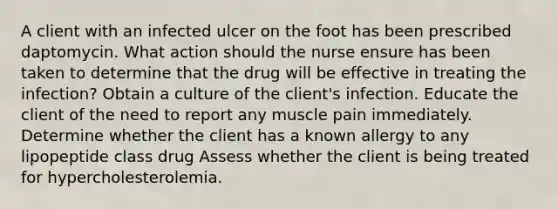 A client with an infected ulcer on the foot has been prescribed daptomycin. What action should the nurse ensure has been taken to determine that the drug will be effective in treating the infection? Obtain a culture of the client's infection. Educate the client of the need to report any muscle pain immediately. Determine whether the client has a known allergy to any lipopeptide class drug Assess whether the client is being treated for hypercholesterolemia.