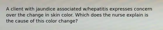 A client with jaundice associated w/hepatitis expresses concern over the change in skin color. Which does the nurse explain is the cause of this color change?