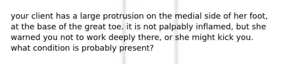 your client has a large protrusion on the medial side of her foot, at the base of the great toe. it is not palpably inflamed, but she warned you not to work deeply there, or she might kick you. what condition is probably present?