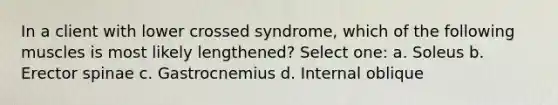 In a client with lower crossed syndrome, which of the following muscles is most likely lengthened? Select one: a. Soleus b. Erector spinae c. Gastrocnemius d. Internal oblique