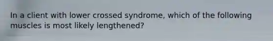 In a client with lower crossed syndrome, which of the following muscles is most likely lengthened?