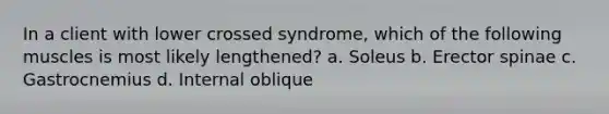 In a client with lower crossed syndrome, which of the following muscles is most likely lengthened? a. Soleus b. Erector spinae c. Gastrocnemius d. Internal oblique