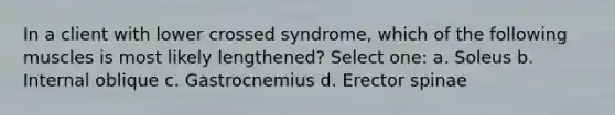 In a client with lower crossed syndrome, which of the following muscles is most likely lengthened? Select one: a. Soleus b. Internal oblique c. Gastrocnemius d. Erector spinae