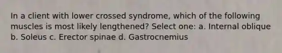 In a client with lower crossed syndrome, which of the following muscles is most likely lengthened? Select one: a. Internal oblique b. Soleus c. Erector spinae d. Gastrocnemius