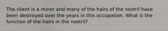 The client is a miner and many of the hairs of the nostril have been destroyed over the years in this occupation. What is the function of the hairs in the nostril?