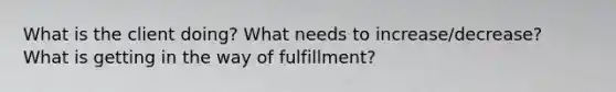 What is the client doing? What needs to increase/decrease? What is getting in the way of fulfillment?