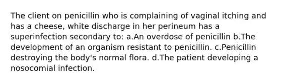 The client on penicillin who is complaining of vaginal itching and has a cheese, white discharge in her perineum has a superinfection secondary to: a.An overdose of penicillin b.The development of an organism resistant to penicillin. c.Penicillin destroying the body's normal flora. d.The patient developing a nosocomial infection.