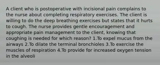 A client who is postoperative with incisional pain complains to the nurse about completing respiratory exercises. The client is willing to do the deep breathing exercises but states that it hurts to cough. The nurse provides gentle encouragement and appropriate pain management to the client, knowing that coughing is needed for which reason? 1.To expel mucus from the airways 2.To dilate the terminal bronchioles 3.To exercise the muscles of respiration 4.To provide for increased oxygen tension in the alveoli