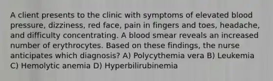 A client presents to the clinic with symptoms of elevated blood pressure, dizziness, red face, pain in fingers and toes, headache, and difficulty concentrating. A blood smear reveals an increased number of erythrocytes. Based on these findings, the nurse anticipates which diagnosis? A) Polycythemia vera B) Leukemia C) Hemolytic anemia D) Hyperbilirubinemia