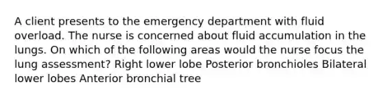 A client presents to the emergency department with fluid overload. The nurse is concerned about fluid accumulation in the lungs. On which of the following areas would the nurse focus the lung assessment? Right lower lobe Posterior bronchioles Bilateral lower lobes Anterior bronchial tree