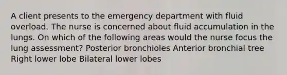 A client presents to the emergency department with fluid overload. The nurse is concerned about fluid accumulation in the lungs. On which of the following areas would the nurse focus the lung assessment? Posterior bronchioles Anterior bronchial tree Right lower lobe Bilateral lower lobes