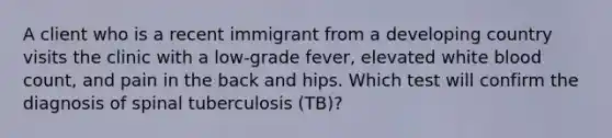 A client who is a recent immigrant from a developing country visits the clinic with a low-grade fever, elevated white blood count, and pain in the back and hips. Which test will confirm the diagnosis of spinal tuberculosis (TB)?