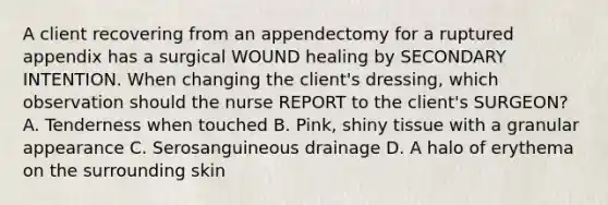 A client recovering from an appendectomy for a ruptured appendix has a surgical WOUND healing by SECONDARY INTENTION. When changing the client's dressing, which observation should the nurse REPORT to the client's SURGEON? A. Tenderness when touched B. Pink, shiny tissue with a granular appearance C. Serosanguineous drainage D. A halo of erythema on the surrounding skin