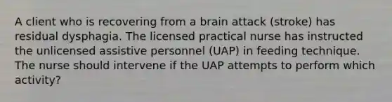 A client who is recovering from a brain attack (stroke) has residual dysphagia. The licensed practical nurse has instructed the unlicensed assistive personnel (UAP) in feeding technique. The nurse should intervene if the UAP attempts to perform which activity?