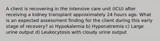 A client is recovering in the intensive care unit (ICU) after receiving a kidney transplant approximately 24 hours ago. What is an expected assessment finding for the client during this early stage of recovery? a) Hypokalemia b) Hyponatremia c) Large urine output d) Leukocytosis with cloudy urine output