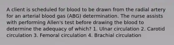 A client is scheduled for blood to be drawn from the radial artery for an arterial blood gas (ABG) determination. The nurse assists with performing Allen's test before drawing the blood to determine the adequacy of which? 1. Ulnar circulation 2. Carotid circulation 3. Femoral circulation 4. Brachial circulation