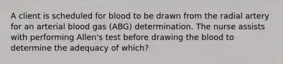 A client is scheduled for blood to be drawn from the radial artery for an arterial blood gas (ABG) determination. The nurse assists with performing Allen's test before drawing the blood to determine the adequacy of which?