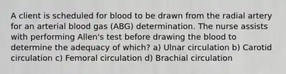 A client is scheduled for blood to be drawn from the radial artery for an arterial blood gas (ABG) determination. The nurse assists with performing Allen's test before drawing the blood to determine the adequacy of which? a) Ulnar circulation b) Carotid circulation c) Femoral circulation d) Brachial circulation