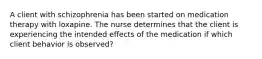 A client with schizophrenia has been started on medication therapy with loxapine. The nurse determines that the client is experiencing the intended effects of the medication if which client behavior is observed?