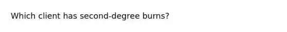 Which client has second-degree burns?