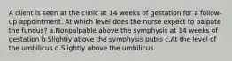 A client is seen at the clinic at 14 weeks of gestation for a follow-up appointment. At which level does the nurse expect to palpate the fundus? a.Nonpalpable above the symphysis at 14 weeks of gestation b.Slightly above the symphysis pubis c.At the level of the umbilicus d.Slightly above the umbilicus