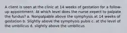 A client is seen at the clinic at 14 weeks of gestation for a follow-up appointment. At which level does the nurse expect to palpate the fundus? a. Nonpalpable above the symphysis at 14 weeks of gestation b. Slightly above the symphysis pubis c. at the level of the umbilicus d. slightly above the umbilicus