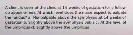 A client is seen at the clinic at 14 weeks of gestation for a follow-up appointment. At which level does the nurse expect to palpate the fundus? a. Nonpalpable above the symphysis at 14 weeks of gestation b. Slightly above the symphysis pubis c. At the level of the umbilicus d. Slightly above the umbilicus