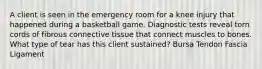 A client is seen in the emergency room for a knee injury that happened during a basketball game. Diagnostic tests reveal torn cords of fibrous connective tissue that connect muscles to bones. What type of tear has this client sustained? Bursa Tendon Fascia Ligament