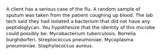 A client has a serious case of the flu. A random sample of sputum was taken from the patient coughing up blood. The lab tech said they had isolated a bacterium that did not have any peptidoglycan. You hypothesize that the identity of this microbe could possibly be: Mycobacterium tuberculosis. Borrelia burghdorferi. Streptococcus pneumoniae. Mycoplasma pneumoniae. Staphylococcus aureus.