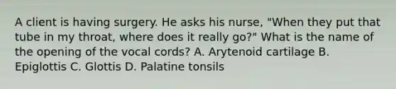 A client is having surgery. He asks his nurse, "When they put that tube in my throat, where does it really go?" What is the name of the opening of the vocal cords? A. Arytenoid cartilage B. Epiglottis C. Glottis D. Palatine tonsils