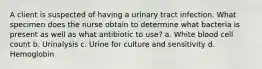 A client is suspected of having a urinary tract infection. What specimen does the nurse obtain to determine what bacteria is present as well as what antibiotic to use? a. White blood cell count b. Urinalysis c. Urine for culture and sensitivity d. Hemoglobin