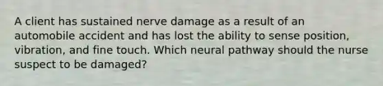 A client has sustained nerve damage as a result of an automobile accident and has lost the ability to sense position, vibration, and fine touch. Which neural pathway should the nurse suspect to be damaged?