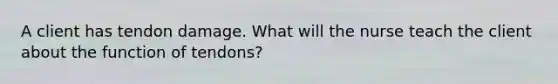 A client has tendon damage. What will the nurse teach the client about the function of tendons?