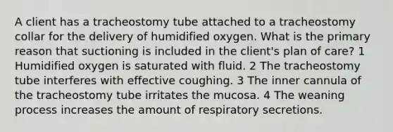 A client has a tracheostomy tube attached to a tracheostomy collar for the delivery of humidified oxygen. What is the primary reason that suctioning is included in the client's plan of care? 1 Humidified oxygen is saturated with fluid. 2 The tracheostomy tube interferes with effective coughing. 3 The inner cannula of the tracheostomy tube irritates the mucosa. 4 The weaning process increases the amount of respiratory secretions.