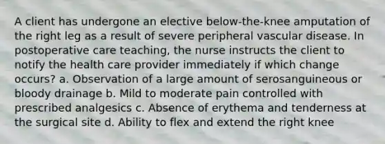 A client has undergone an elective below-the-knee amputation of the right leg as a result of severe peripheral vascular disease. In postoperative care teaching, the nurse instructs the client to notify the health care provider immediately if which change occurs? a. Observation of a large amount of serosanguineous or bloody drainage b. Mild to moderate pain controlled with prescribed analgesics c. Absence of erythema and tenderness at the surgical site d. Ability to flex and extend the right knee