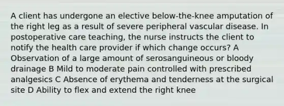 A client has undergone an elective below-the-knee amputation of the right leg as a result of severe peripheral vascular disease. In postoperative care teaching, the nurse instructs the client to notify the health care provider if which change occurs? A Observation of a large amount of serosanguineous or bloody drainage B Mild to moderate pain controlled with prescribed analgesics C Absence of erythema and tenderness at the surgical site D Ability to flex and extend the right knee