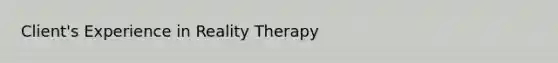 Client's Experience in Reality Therapy